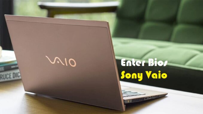 Enter Bios Sony Vaio